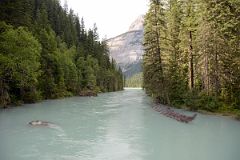 24 Robson River From Berg Lake Trail Between Kinney Lake And Parking Lot.jpg